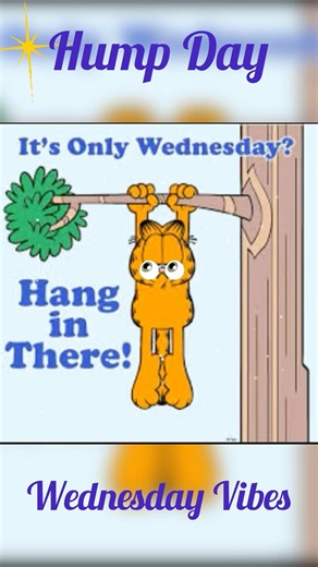 Wednesday?#trending#viral #Wednesday vibes#Wednesday feeling#Wednesday fact #comedy #fun post#fact