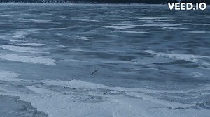 Imperobators intentar cazar un Morrosaurus. | Animales prehistóricos