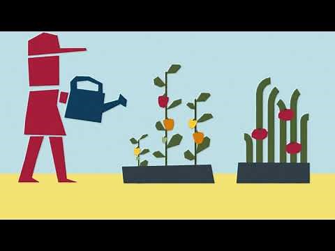 What is the Farm Bill and Why Is It Important?