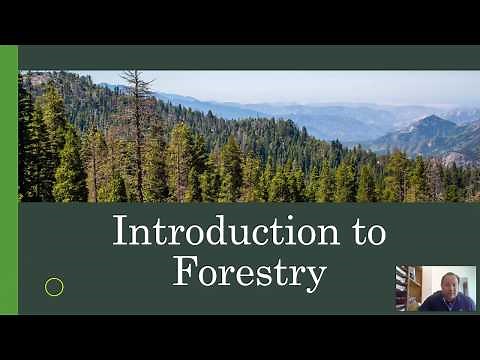 Introduction to Forestry- Part 1