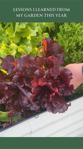 This Year’s Garden Lessons 🌿 Each growing season is its own teacher. I learned so much this year about soil health, timing, and letting nature lead the way. 💚 What did your garden teach you this season? Want to learn more? Check out @kellogggarden for more garden tips ❤️❤️❤️ #gardening #gardeningtips #gardenlife #gardeninglessons #gardencommunity #gardenlove #gardeningforbeginners #growyourownfood #gardenerlife #homesteadgarden #plantlover #gardenwisdom | From Dream to Seed