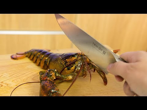 EXTREMELY GRAPHIC: Live Lobster Sushi Roll