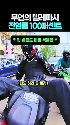 무언의 텔레파시로 완성된 단체 눕방 (전염률 100%)