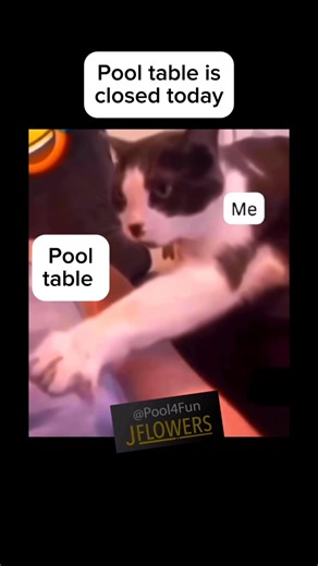 92 reactions · 17 shares | When the pool table is closed #8pool #8ballpool #billiardmemes #poolmemes #jflowers | Jim J Muschetti | Facebook