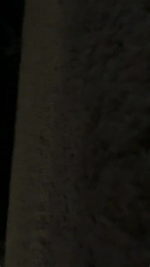 I’m_a_exotic_butter (@im_a_exotic_butter)’s videos with original sound - I’m_a_exotic_butter