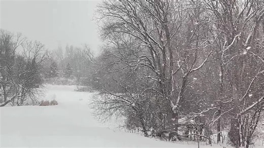 Ia Rose (@ia_rose)’s videos with original sound - Ia Rose