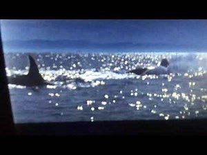 Free Willy Opening Scene