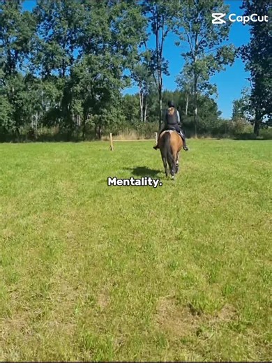 Wir sind luna [ Reiter ] und Ellie [ Managerin]