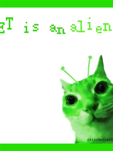 et is an alien !! 🛸😸 #cats #cars #kittycat #edit #catedit #capcutedit #fyp #alien #silly #sillycar #sillycats #cute #zxycba