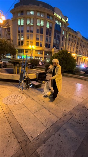 Qué hermoso show de títeres para mi bebé 🐶🐶🐾🦴🇬🇪😃🙏🏽🌎🙌🏽❤️😻 #mama_bebe_y_el_mundo #titeres #mexico #georgia #streetart