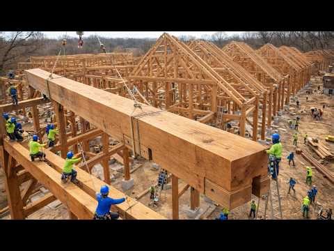 How Timber Turns Into Modern Houses – Wood Processing CLT And Construction Explained