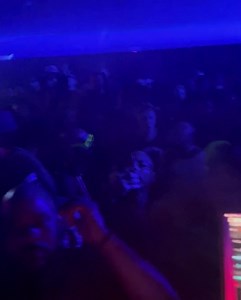 Miami’s Heat 🥵 Treehouse Miami | LTJ Bukem DJ