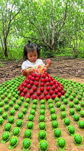Survival Skills: SMART Bushcraft Idea for Single Moms