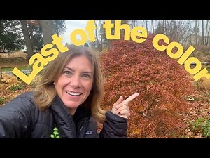 What it looks like when garden "cleanup" is finished