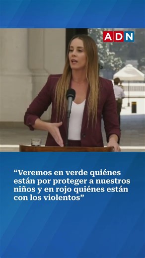 Ministra Mara Sedini se refiere a indicaciones al proyecto Escuelas Protegidas