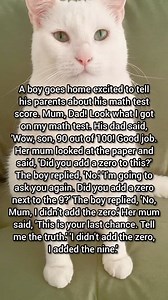 Math genius 😂 | Moomoo Cat