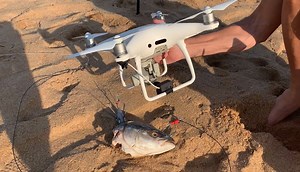 385K views · 2.2K reactions | Pushing the limits with a Phantom 4 fitted with the new Gannet XS bait release, this bait and lead was almost 1kg. It is very big for a Phantom and not recommended but the Gannet handles it with ease - Gannet by dronefishing.com “Don’t do this at home” fly 700-800g max loads and only if you have a Gannet fitted to your drone. | Drone Fishing - Gannet | Facebook