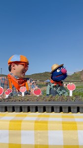 Wow, what HASN'T Grover from Sesame Street done?! 😅 | Blippi