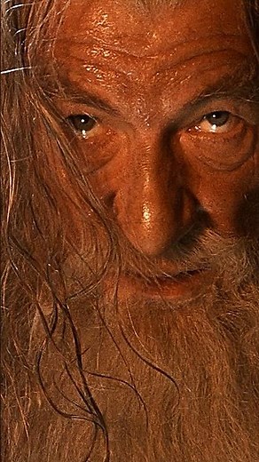 YOU SHALL NOT PASS | The Fellowship of the Ring