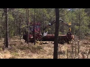 Alstor Mini Forwarder working on soft ground