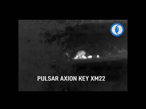 Pulsar Axion Key XM22