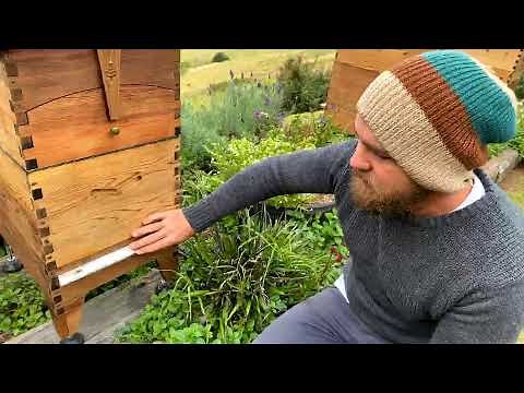 Condensation and ventilation - Flow Hive