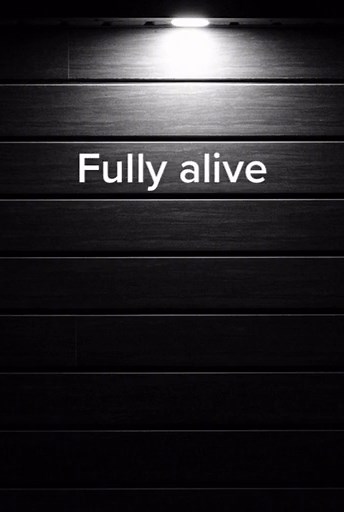 Flyleaf “Fully Alive” #flyleaf #music #lyrics #singing #song #artist #fyp