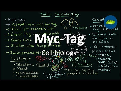 Myc tag | Protein tag | Myc tag | Immunogenic Tag | Cell Biology | Basic Science Series