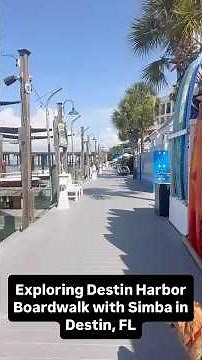 Walking the Destin Harbor Boardwalk - Dog-Friendly Coastal Stroll in Destin, FL
