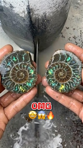 Lapidary