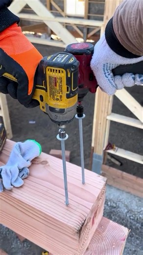 Dewalt for the win For educational purposes #tools #cordlessdrill #dewalt #DEWALTTough #tooltok
