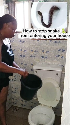 How to stop snake from entering your house