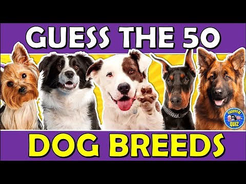 Guess the "DOG BREED" QUIZ! 🐶 Challenge/Trivia/Test