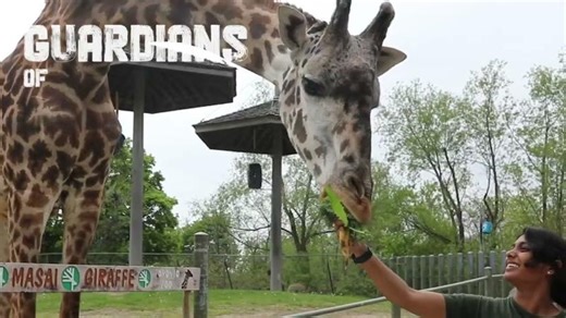 Your Toronto Zoo's 2024 Highlights ✨ | Toronto Zoo