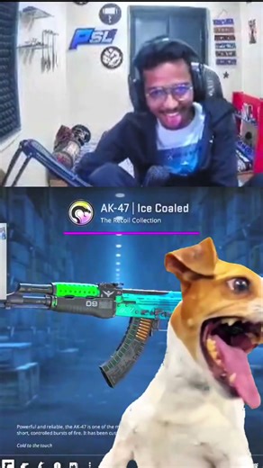 Case paglu Chicha #cs2 #shortsfeed