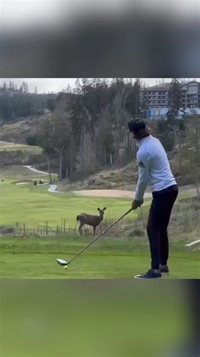 “I’ve been trying to reach you about your car’s extended warranty” | AccuBow