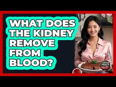 What Does The Kidney Remove From Blood?
