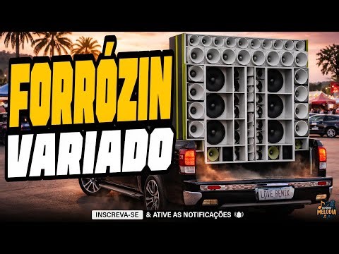 FORRÓZIN VARIADO 2026 - MAIS TOCADAS FORRÓ 2026 - FORRÓZIN ATUALIZADO PRA PAREDÃO - FORRÓ 2026