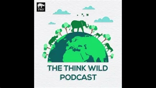 S4|E2 ~ The Free-Ranging Dog Crisis: India’s Ecological and Public Health Dilemma | Arshyaan Shahid | Carnivore Conservation Compendium