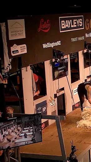 35 reactions · 4 comments | Te Puni Kōkiri Senior Woolhandling Final highlights #goldenshears2024 #woolhandling | Golden Shears | Facebook