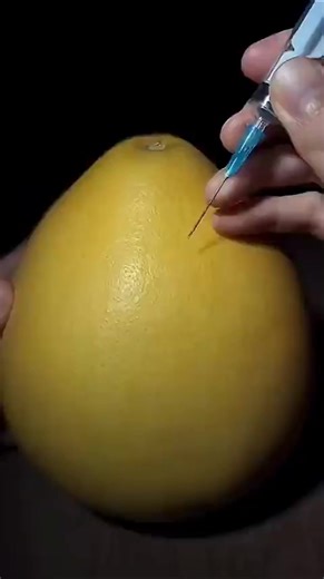 ✌︎★𝐊Ü𝐑𝐓𝐁𝐄𝐘★✌︎: Un viaje cultural