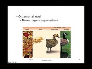 General College Biology - CH01a Science of Life