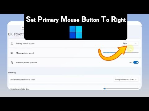 How to Set Primary Mouse Button To Right on Windows [NEW]