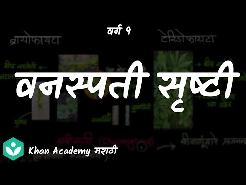 Plant Kingdom [Marathi] |Classification of Plants | Grade 9 | Science | Khan Academy