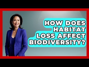 How Does Habitat Loss Affect Biodiversity? - Ecosystem Essentials