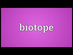 Biotope Meaning
