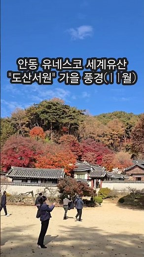 안동여행 "도산서원" 가을풍경(11월중순) 유네스코 세계유산 #shorts #안동가볼만한곳 #가을 #가을단풍 #travel #안동명소