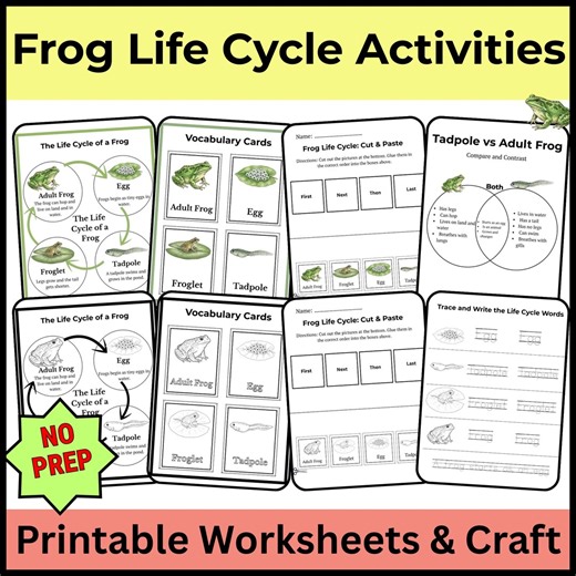 Frog Life Cycle Craft Printable | Life Cycle of a Frog Activities and Worksheets | Spring Science | Sequencing and Coloring Pages - Etsy