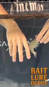 Less fixing. More fishing. 🎣 If live shrimp is your go-to, these hooks just make the whole process smoother. 🦐 Rig it once, cast it out, keep moving. They’re live on BaitLureDepot.com for $6.99 a 10-pack. Veteran-owned, small brand, focused on gear that actually earns its spot. Grab a pack and keep your setup right. 👉 Link in bio #FishingGear #SaltwaterFishing #LiveShrimp #VeteranOwned #FishingLife | Baitluredepot