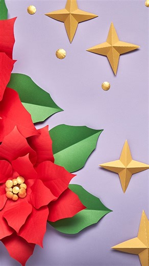 DIY Paper Flowers & Crafts | Christmas stars are perfect addition to poinsettia, wreaths and other ornaments. Make these 3D stars for your Christmas decorations The... | Instagram